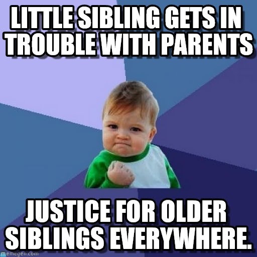 15 Sibling Memes To Share With Your Brothers Sisters On National