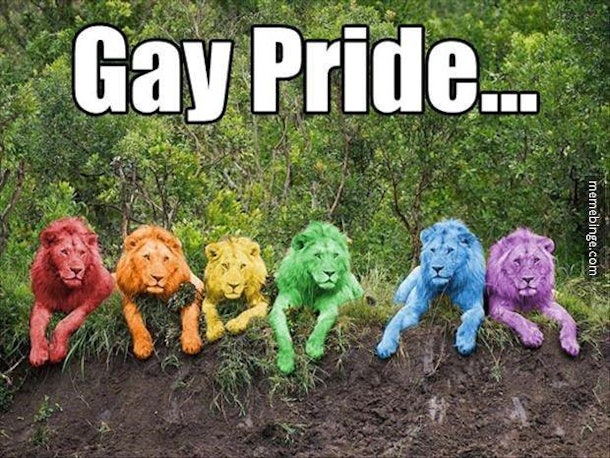 15 Pride Memes To Help You Spread Equality All Month Long 4695