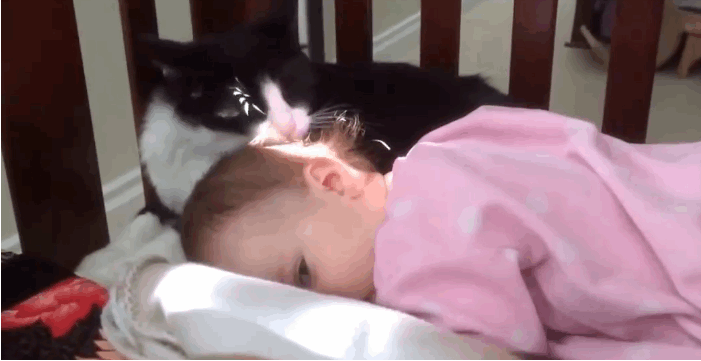 Https Encrypted Tbn0 Gstatic Com Images Q Tbn 3aand9gctr4rzotuhapoxmf234vqcywuurwt6lpwws9yjpsutzd6na8b47 Usqp Cau