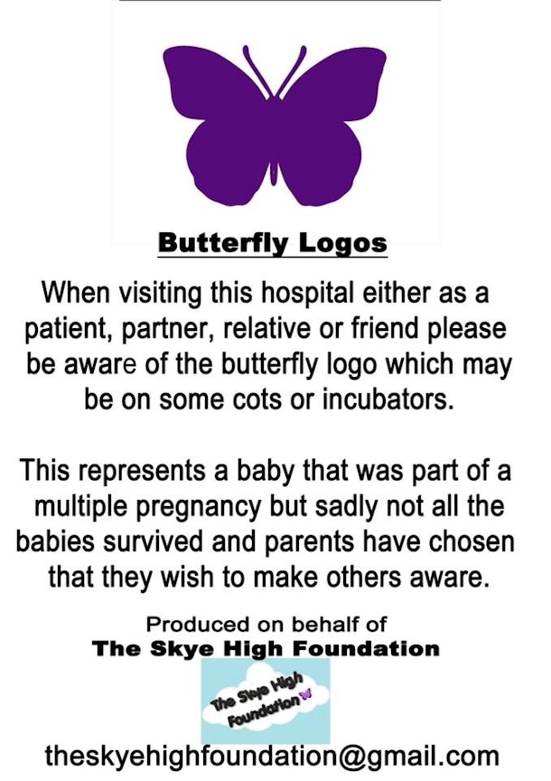 What Does Purple Butterfly Mean On Baby Crib