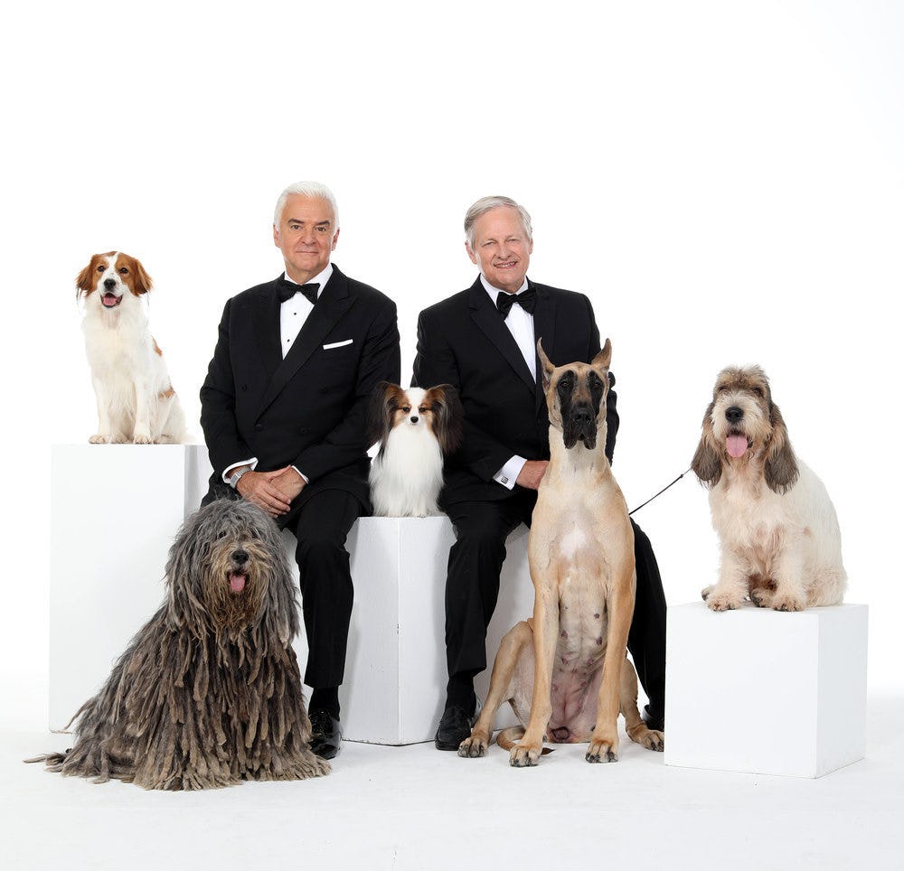 How To Watch The National Dog Show On Thanksgiving 2018