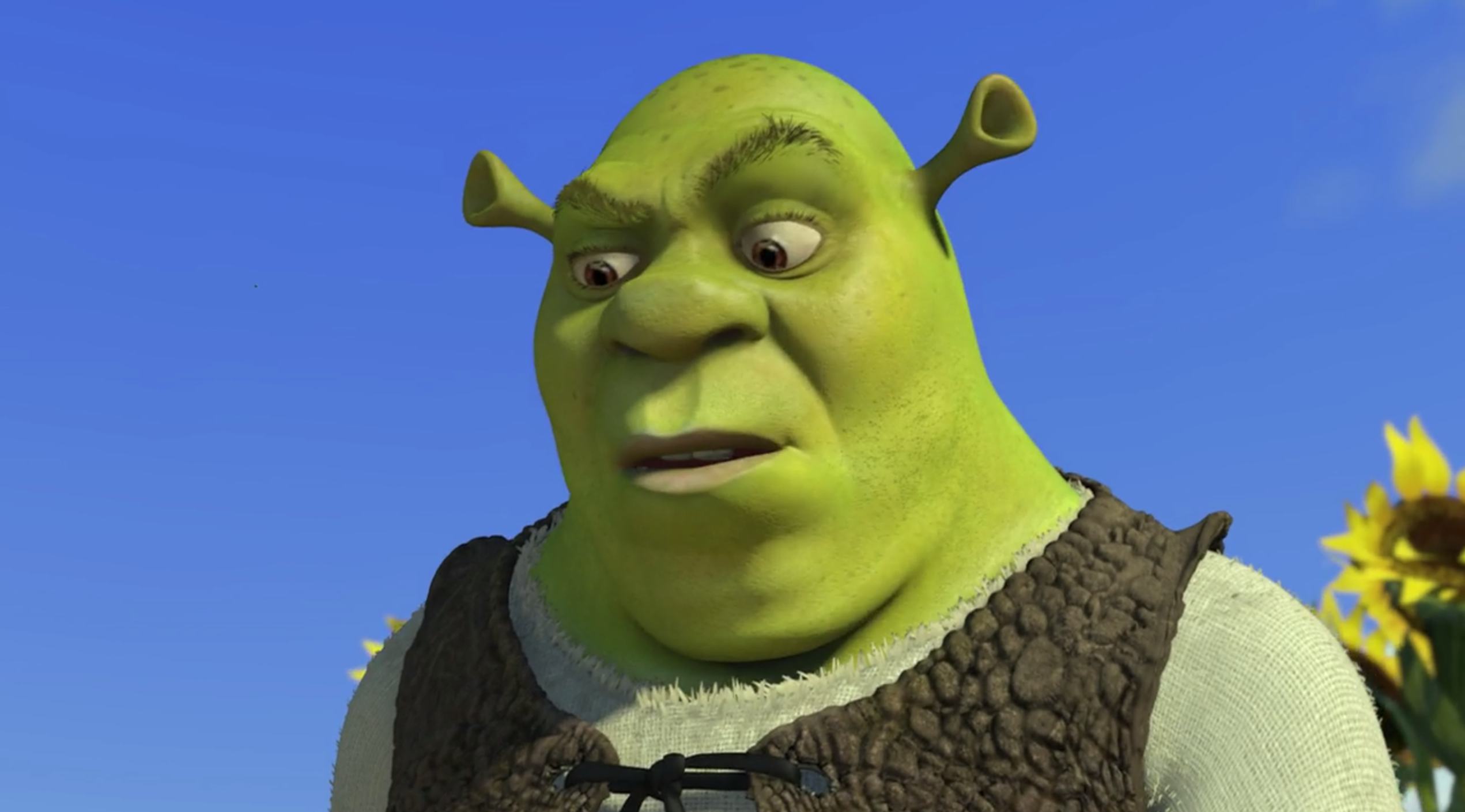 Nemos dads name image