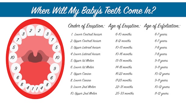 when-should-a-baby-stop-teething-it-takes-a-while-to-grow-all-those-teeth