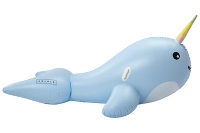 narwhal floatie