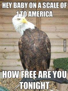 19 Hilarious 4th Of July 2018 Memes That Every American Can Laugh At