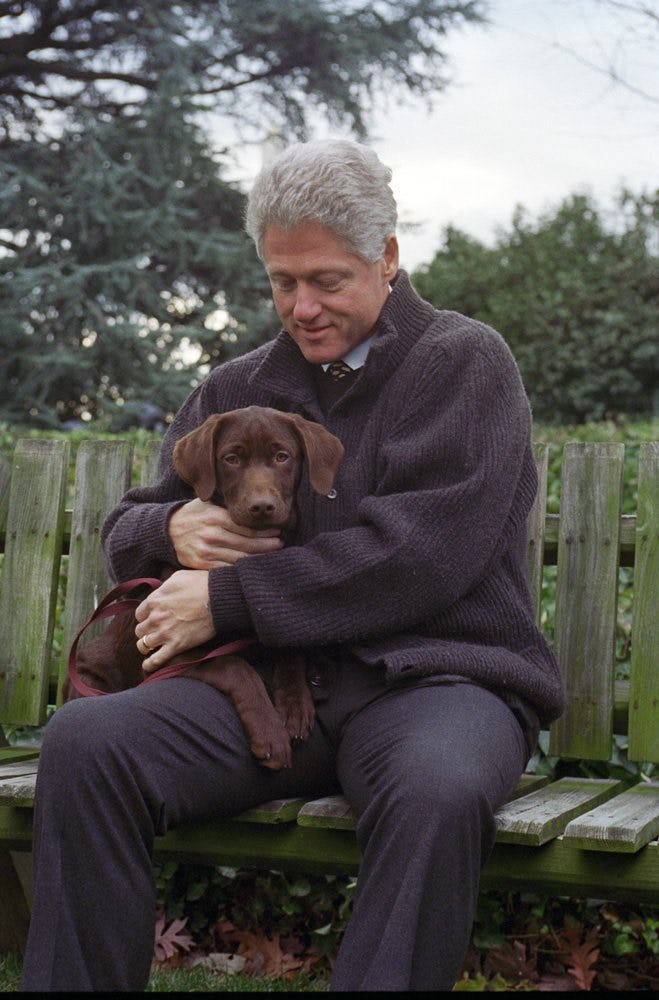 13 Dogs U.S. Presidents Have Had, Proving First Pets Are Part Of