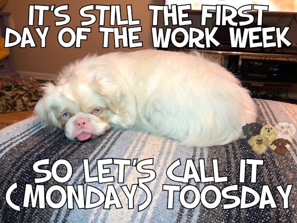 9 Labor Day 2019 Memes That Just Really Get You