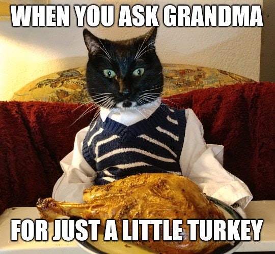 19 Funny Memes Gifs For Thanksgiving Because On This Holiday