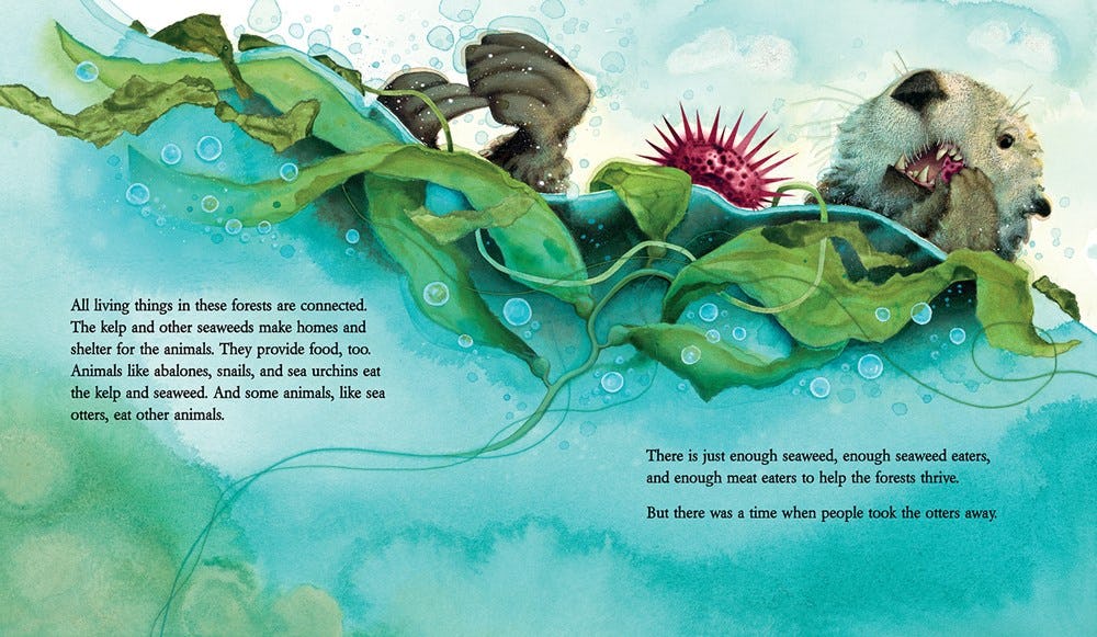 my friend earth by patricia maclachlan my friend earth by patricia maclachlan