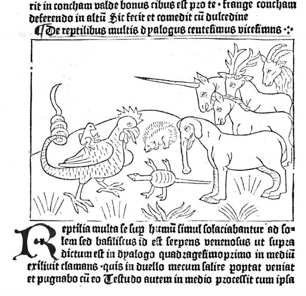 15 Free Printable Coloring Pages For Adults To Calm Your