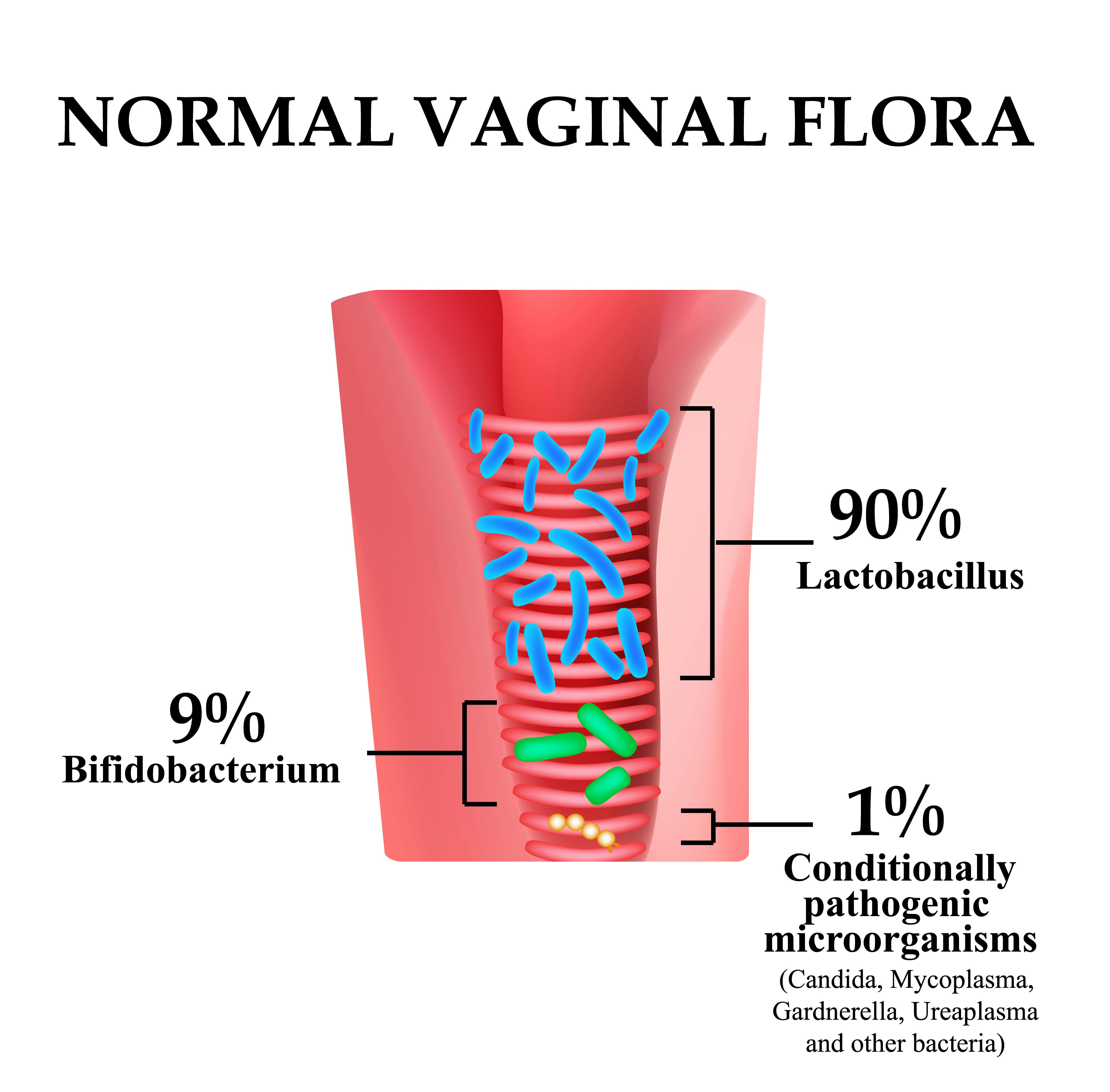 What Is Vaginal Flora? An OBGYN Explains